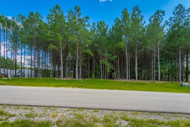 0 Waterwheel Way Jf325, Jasper, TN 37347
