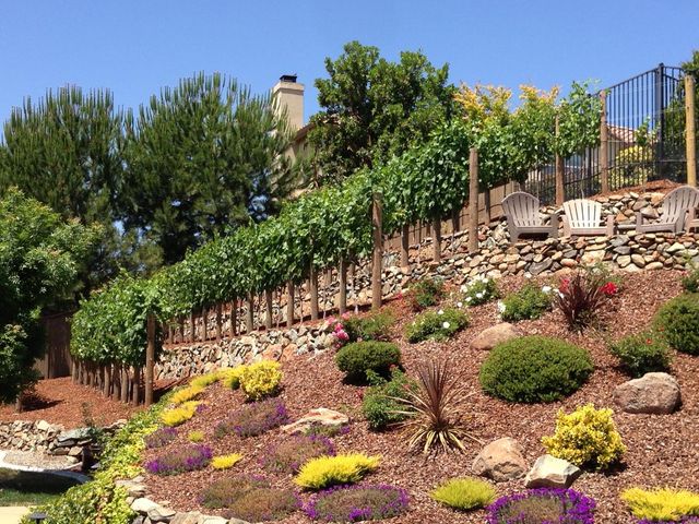 5011 Tesoro Way, El Dorado Hills, CA 95762