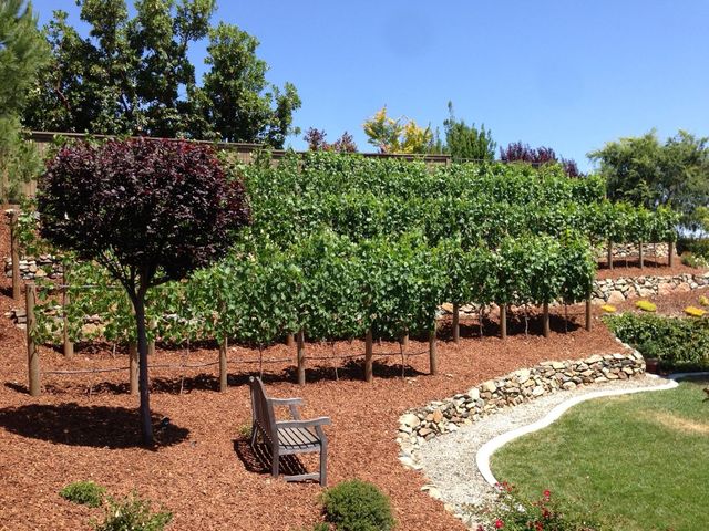5011 Tesoro Way, El Dorado Hills, CA 95762