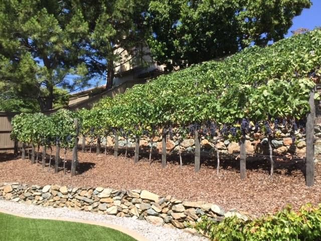 5011 Tesoro Way, El Dorado Hills, CA 95762