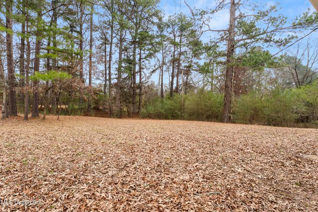 589 Swaney Drive, Holly Springs, MS 38635