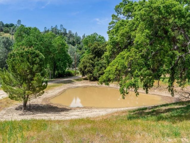 1535 Parkhill Road, Santa Margarita, CA 93453