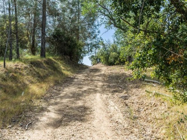 1535 Parkhill Road, Santa Margarita, CA 93453