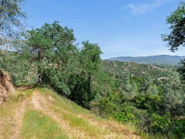 1535 Parkhill Road, Santa Margarita, CA 93453