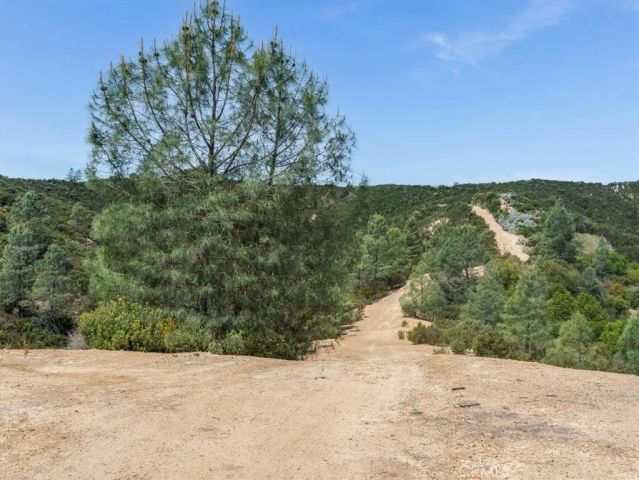1535 Parkhill Road, Santa Margarita, CA 93453