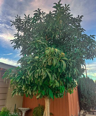 2425 Heather Avenue, Long Beach, CA 90815