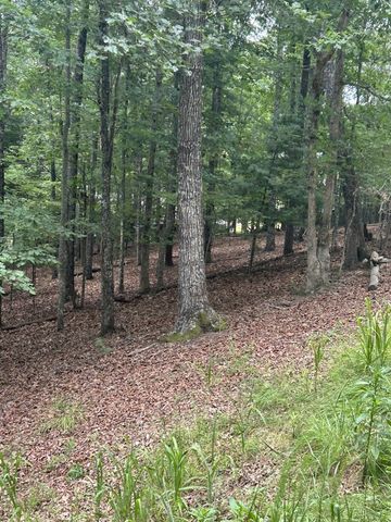 1.5 Liberty Hill Road, Morganton, GA 30560