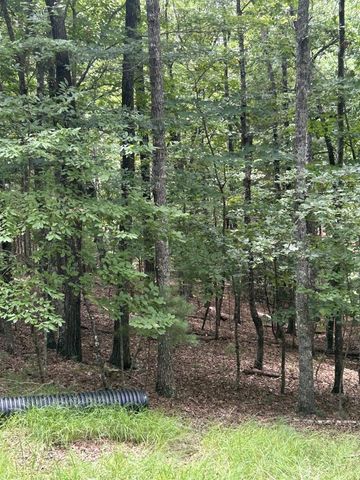 1.5 Liberty Hill Road, Morganton, GA 30560