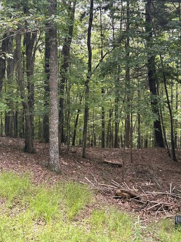 1.5 Liberty Hill Road, Morganton, GA 30560