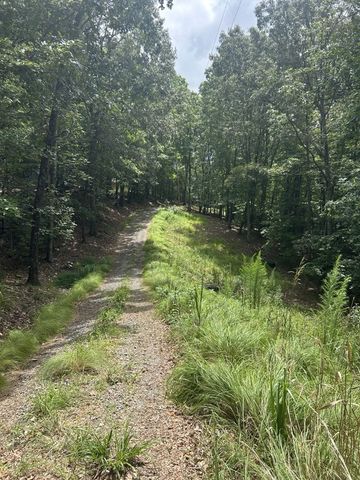 1.5 Liberty Hill Road, Morganton, GA 30560