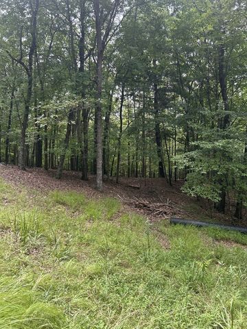 1.5 Liberty Hill Road, Morganton, GA 30560