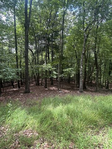 1.5 Liberty Hill Road, Morganton, GA 30560