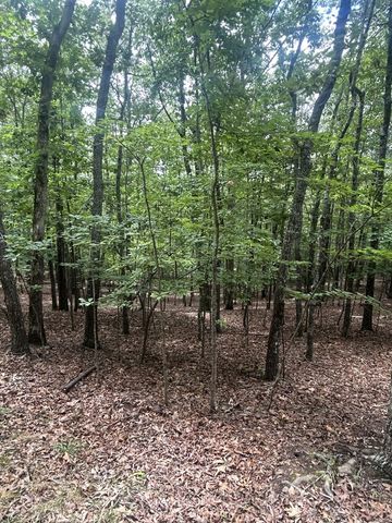 1.5 Liberty Hill Road, Morganton, GA 30560