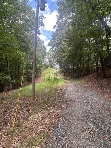 1.5 Liberty Hill Road, Morganton, GA 30560