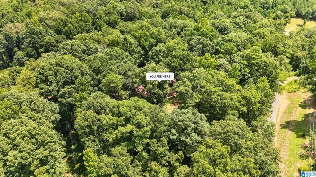 8340 SERENE LAKE ROAD, Mccalla, AL 35111