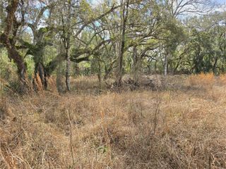 6436 YAM STREET, Webster, FL 33597