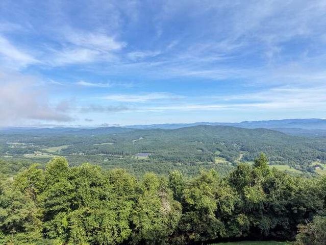 81 Grant Drive, Brasstown, NC 28902