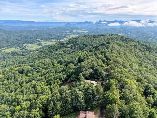 81 Grant Drive, Brasstown, NC 28902