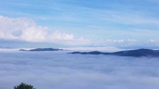 81 Grant Drive, Brasstown, NC 28902