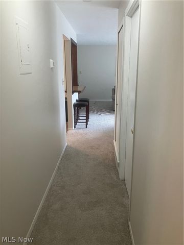 26187 Raintree Boulevard C5, Olmsted Falls, OH 44138