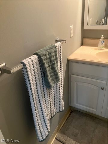 26187 Raintree Boulevard C5, Olmsted Falls, OH 44138