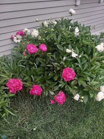 3531 1st Street N, Fargo, ND 58102