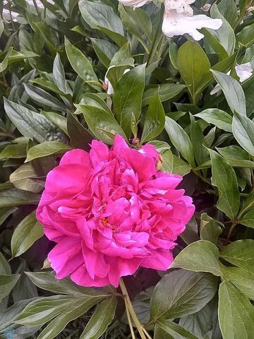 3531 1st Street N, Fargo, ND 58102