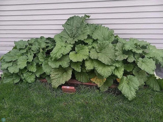 3531 1st Street N, Fargo, ND 58102