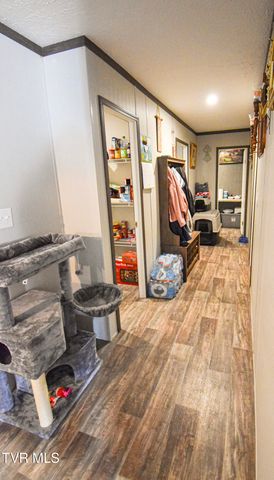 255 Rolling Hills Drive, Church Hill, TN 37642