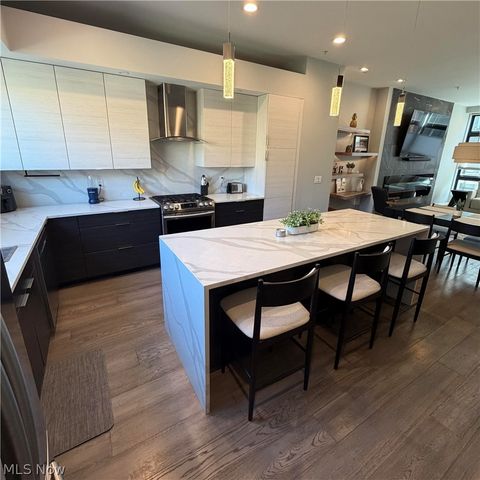 3110 Vine Court, Cleveland, OH 44113
