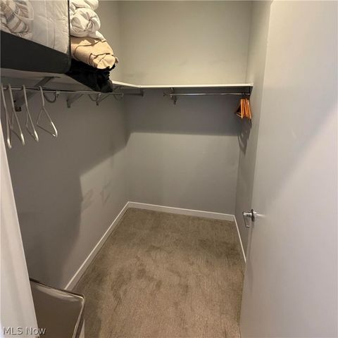 3110 Vine Court, Cleveland, OH 44113