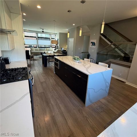3110 Vine Court, Cleveland, OH 44113