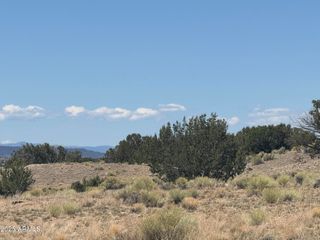 Lot 752 Woodland Valley Ranch -- 752, St Johns, AZ 85936
