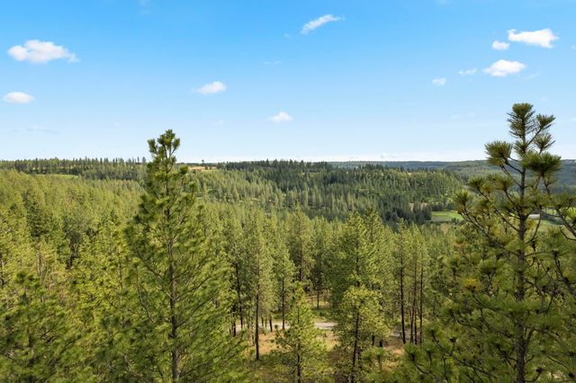 13853 S Serenity Ln, Valleyford, WA 99036