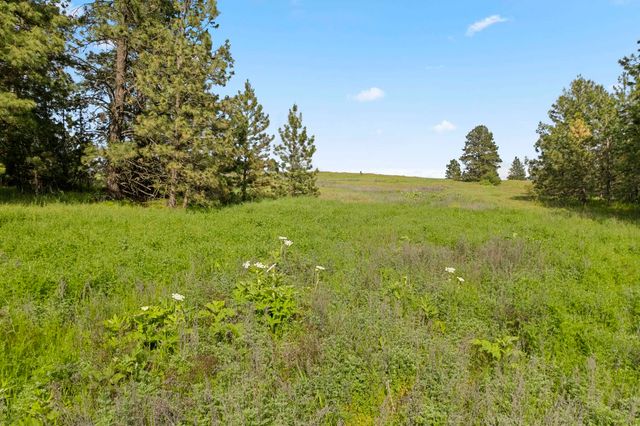 13853 S Serenity Ln, Valleyford, WA 99036