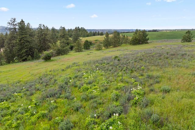 13853 S Serenity Ln, Valleyford, WA 99036