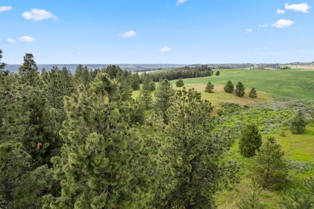 13853 S Serenity Ln, Valleyford, WA 99036