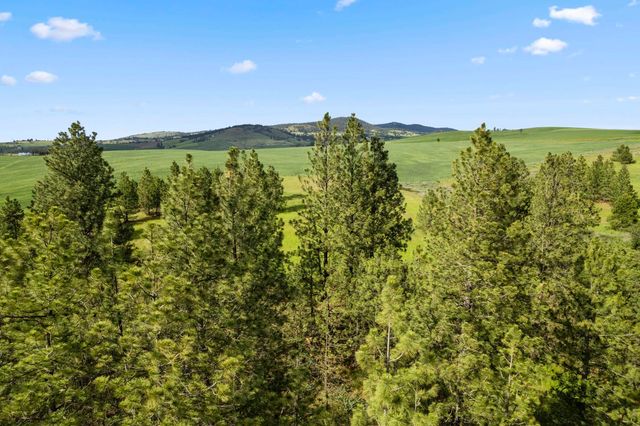 13853 S Serenity Ln, Valleyford, WA 99036