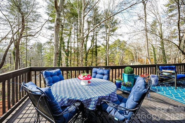 7 Brushwood Road, Asheville, NC 28804