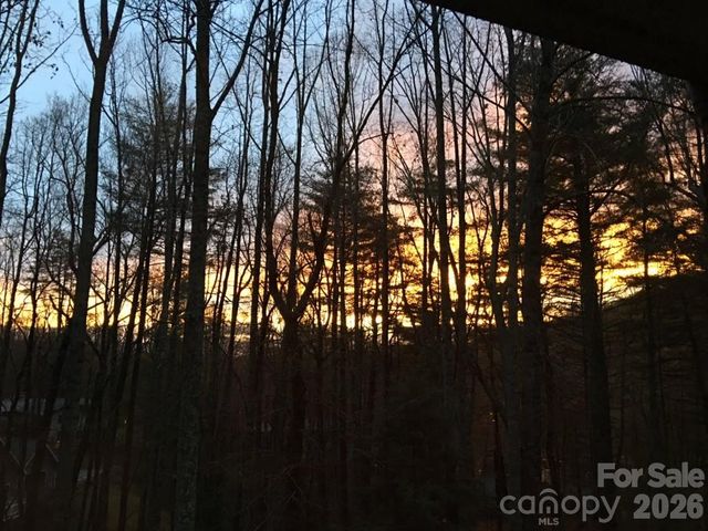 7 Brushwood Road, Asheville, NC 28804