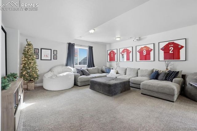 15684 Blue Pearl Court, Monument, CO 80132