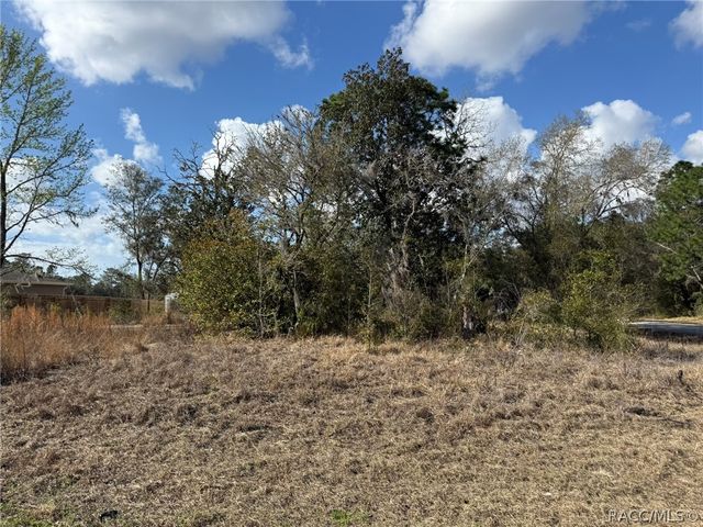 941 W Cadima Place, Citrus Springs, FL 34434