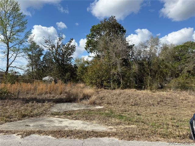 941 W Cadima Place, Citrus Springs, FL 34434