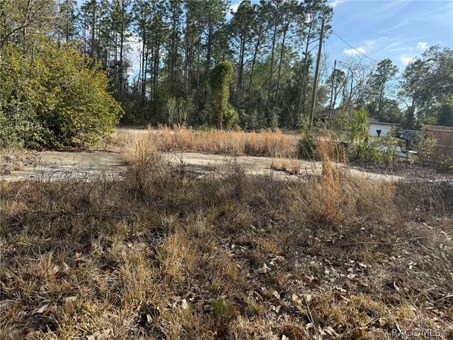 941 W Cadima Place, Citrus Springs, FL 34434