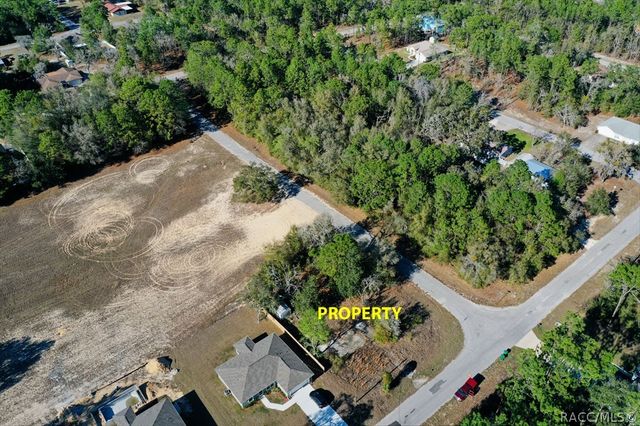 941 W Cadima Place, Citrus Springs, FL 34434