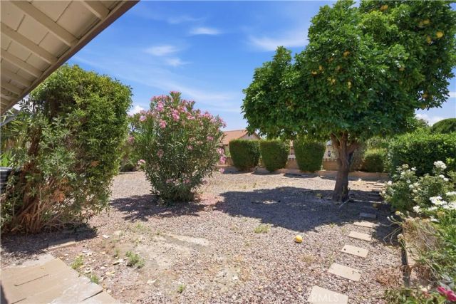 1126 Mayten Tree Court, Hemet, CA 92545