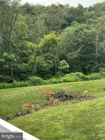 57 CHATEAU CIR, Wrightsville, PA 17368