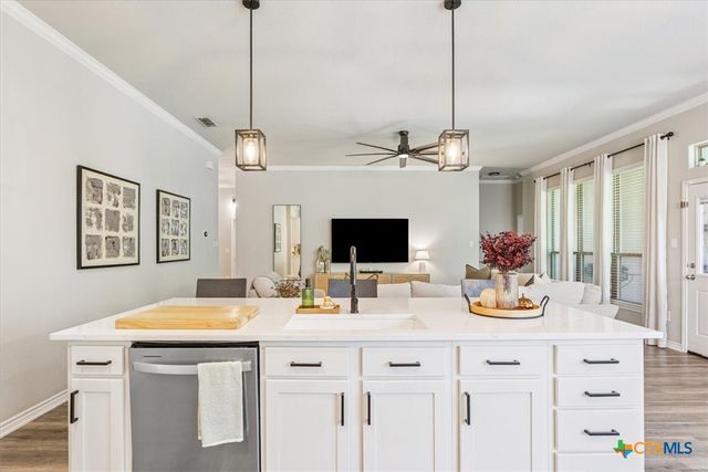 1115 Rhodactis Drive, Temple, TX 76502