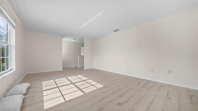 12507 BAY BRANCH COURT, Tampa, FL 33635