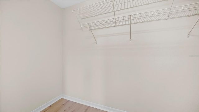 12507 BAY BRANCH COURT, Tampa, FL 33635